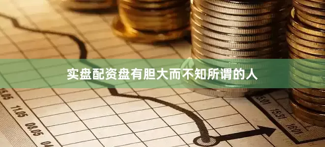 实盘配资盘有胆大而不知所谓的人